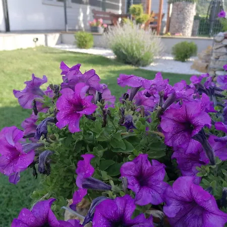 Apartman Panorama * Posušje